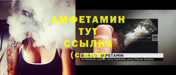 спиды Инта