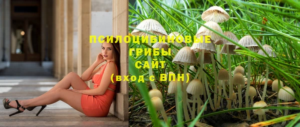 таблы Инсар