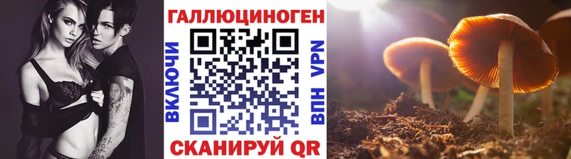 Купить закладки  Чайковский  Галлюциногенные грибы Magic Shrooms 